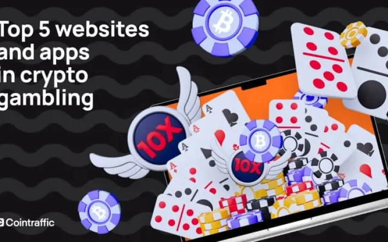 Top 5 Crypto Gambling Website and App Categories (2025 Insights)